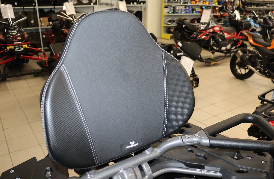 Квадроцикл PROMAX RENEGADE 300 LONG WINCH PRO (2025) в Перми