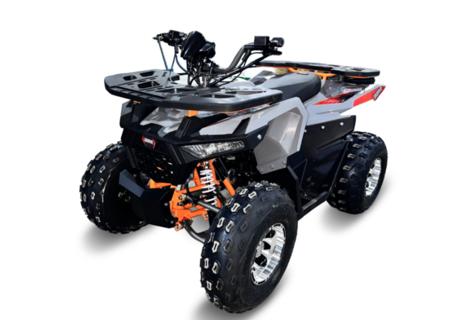 Квадроцикл GBM DAXTER 220 NEW PREMIUM в Перми