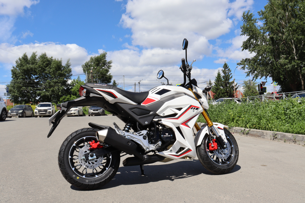 Мотоцикл PROMAX STRYKER 200(49) 2.0 в Перми