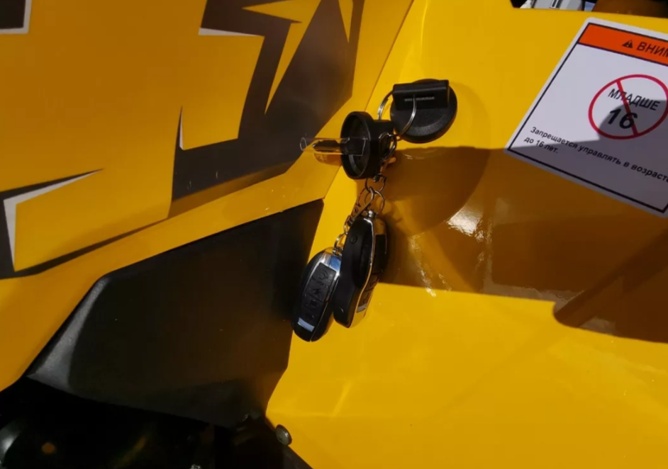 Квадроцикл MOTOLAND (МОТОЛЕНД) VOX200 WILD TRACK X PRO (баланс. вал) в Перми