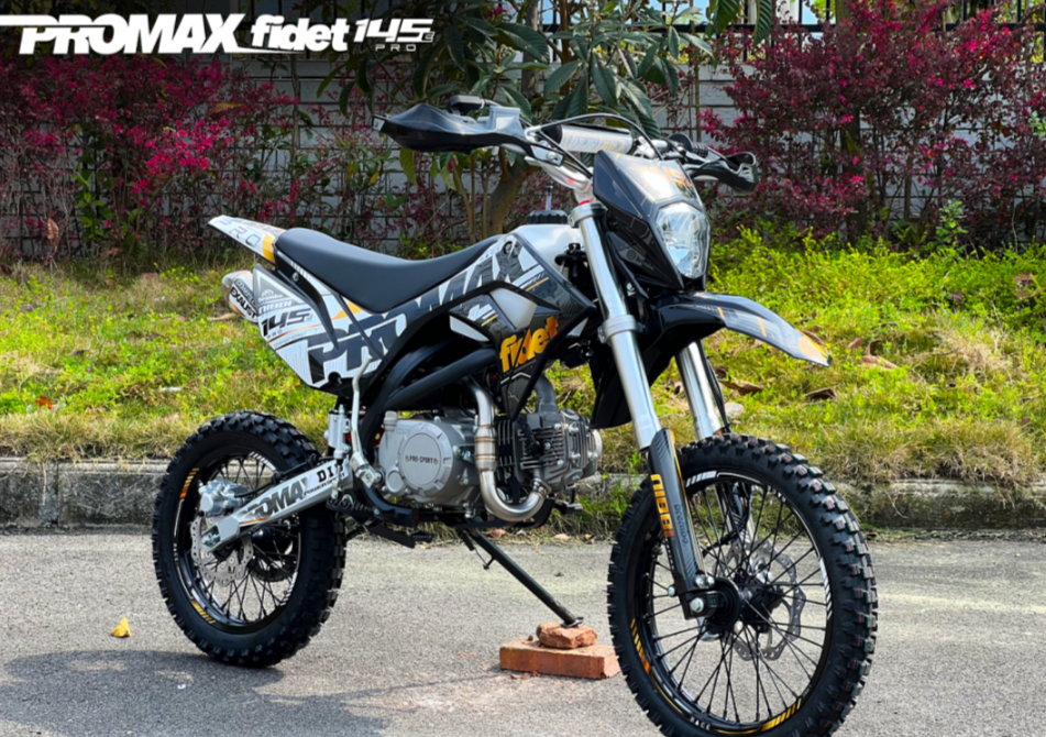 Мотоцикл (питбайк) PROMAX FIDET (ФАЙДЕТ) 145E PRO 17/14 в Перми