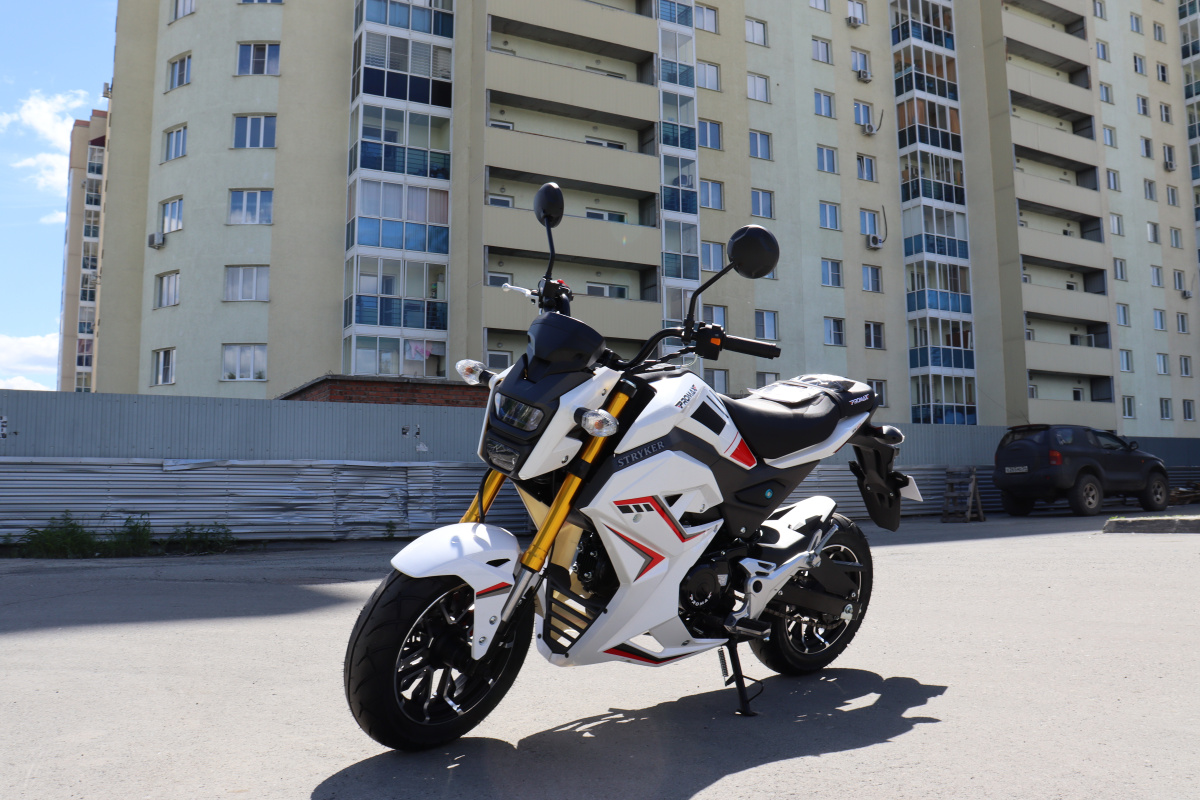 Мотоцикл PROMAX STRYKER 200(49) 2.0 в Перми