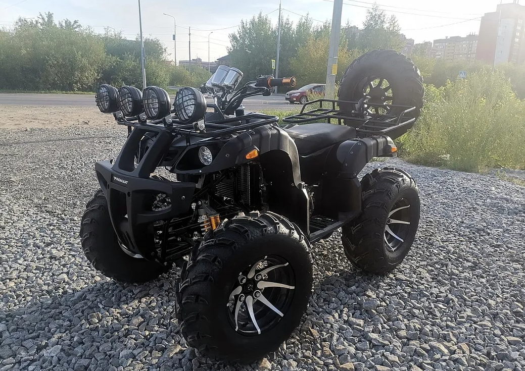 Квадроцикл PROMAX LEO 300 Max (кардан) в Перми