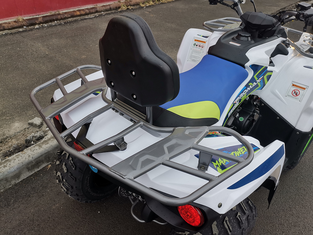 Квадроцикл PROMAX RENEGADE 280 LUX (2025) в Перми