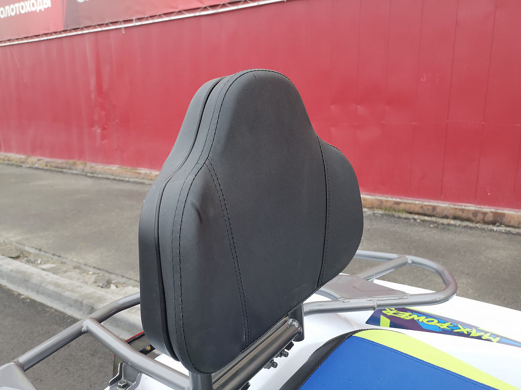 Квадроцикл PROMAX RENEGADE 280 LUX (2025) в Перми