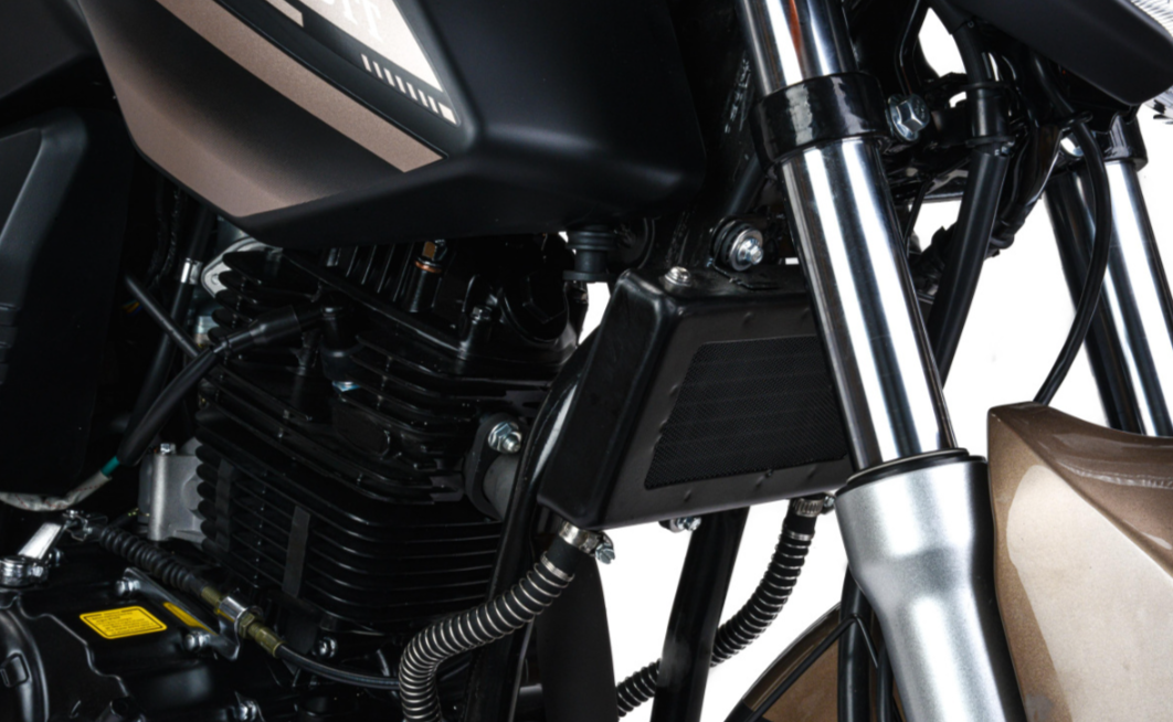 Мотоцикл MOTOLAND (МОТОЛЕНД) 300 BANDIT в Перми