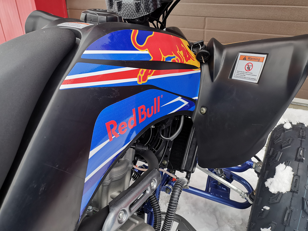 Квадроцикл PROMAX RAPTOR 300 NEW RedBull в Перми