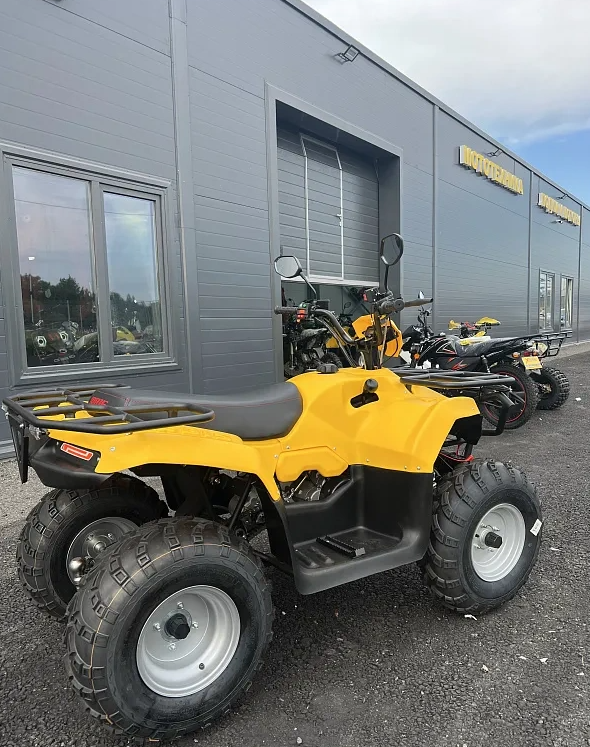 КВАДРОЦИКЛ IRBIS ATV 250  в Перми
