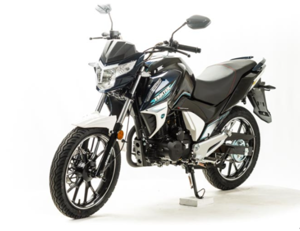 Мотоцикл MOTOLAND (МОТОЛЕНД) FIGHTER 250 в Перми