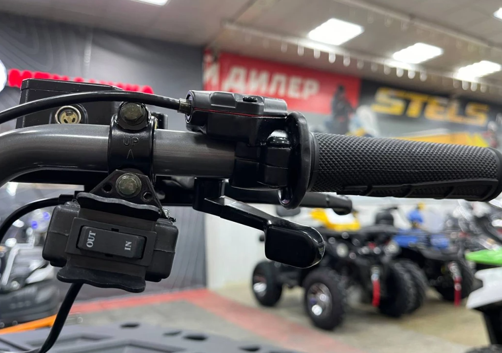 Квадроцикл PROMAX RENEGADE 300 LONG WINCH PRO (2025) в Перми