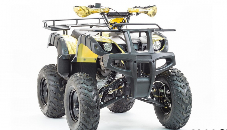 Квадроцикл MOTOLAND (МОТОЛЕНД) 250 ADVENTURE в Перми