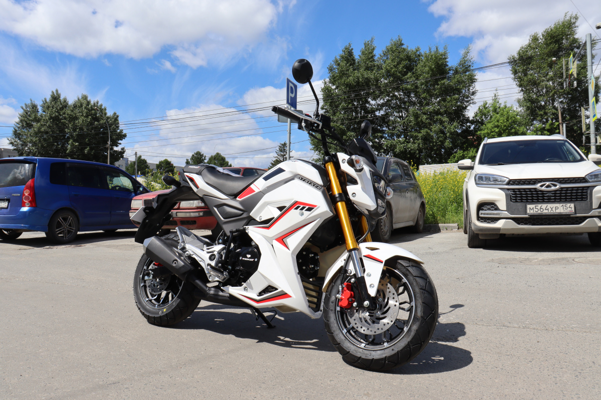 Мотоцикл PROMAX STRYKER 200(49) 2.0 в Перми