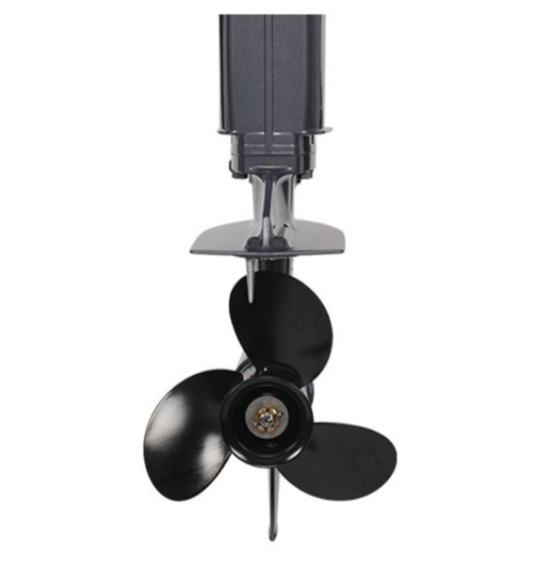 Лодочный мотор ALLFA CG Т40FWT S в Перми