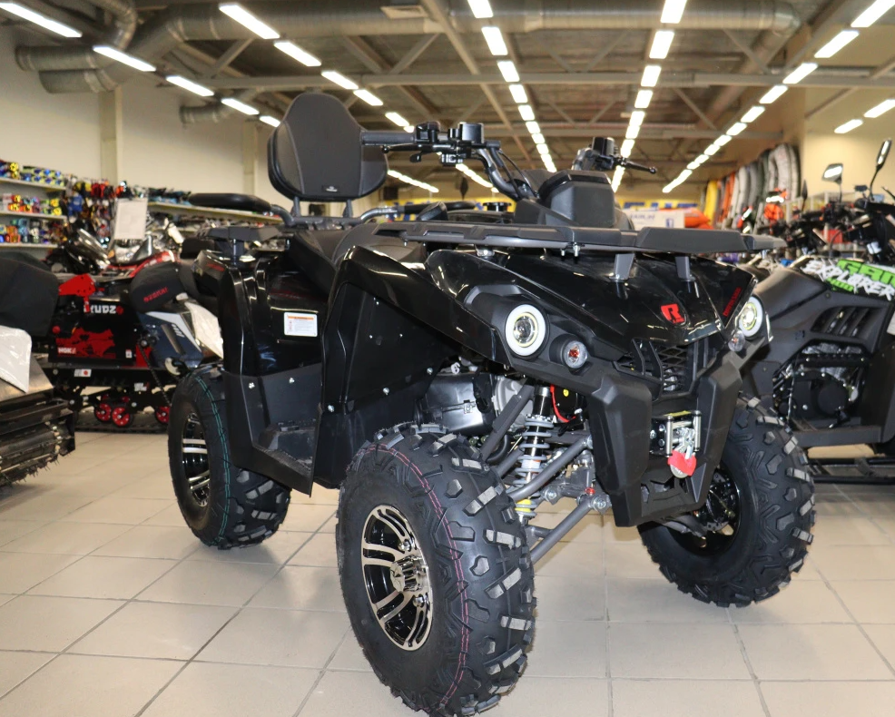 Квадроцикл PROMAX RENEGADE 300 LONG WINCH PRO (2025) в Перми