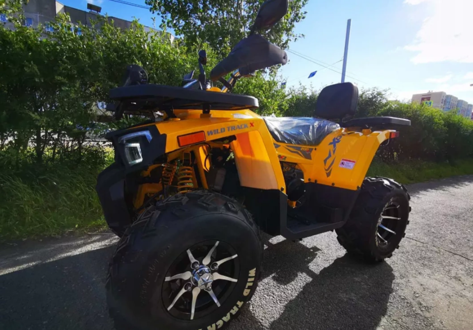 Квадроцикл MOTOLAND (МОТОЛЕНД) VOX200 WILD TRACK X PRO (баланс. вал) в Перми