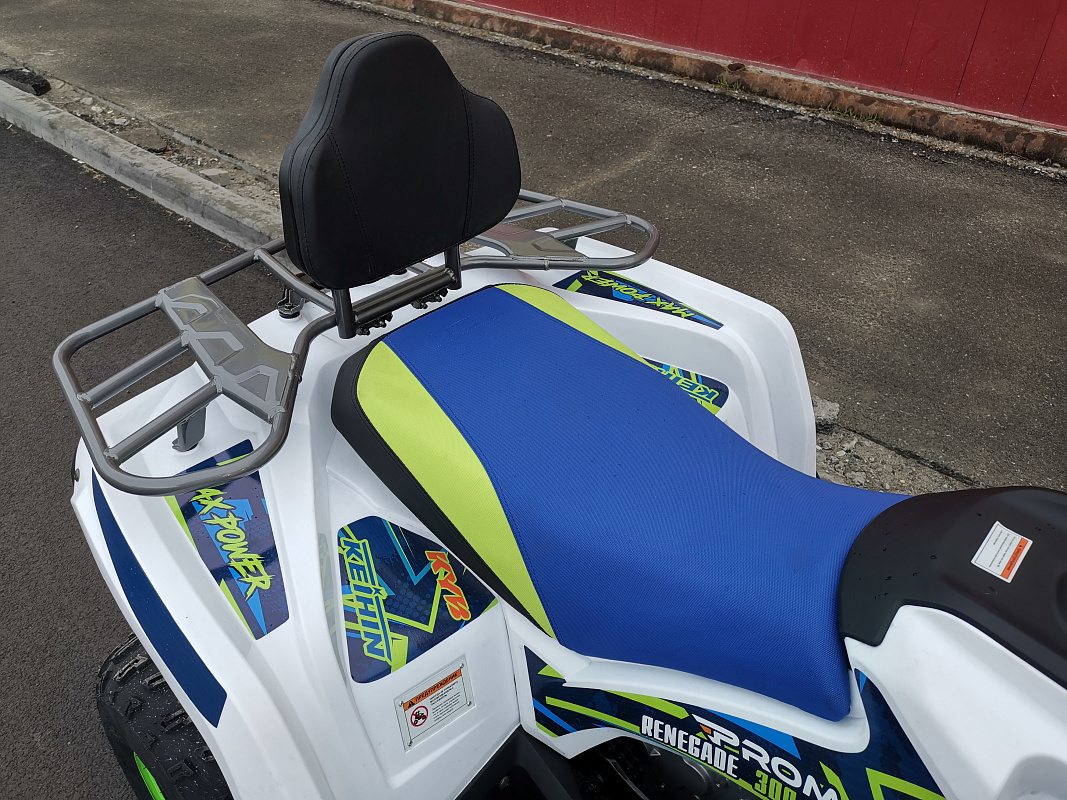 Квадроцикл PROMAX RENEGADE 280 LUX (2025) в Перми