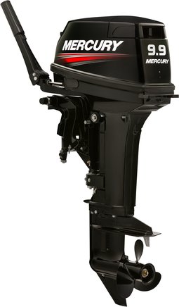 ЛОДОЧНЫЙ МОТОР MERCURY 9.9 MH TMC 247 CC в Перми