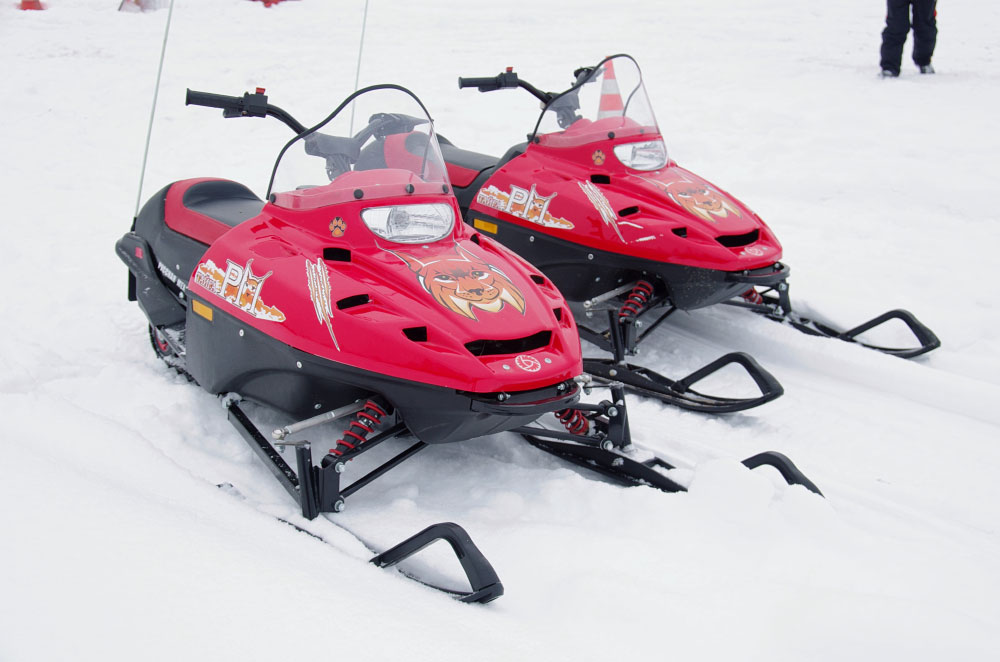 Снегоход РМ ТАЙГА РЫСЬ в Перми