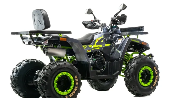 Квадроцикл MOTOLAND (МОТОЛЕНД) VOX200 WILD TRACK X WINCH (баланс. вал) в Перми