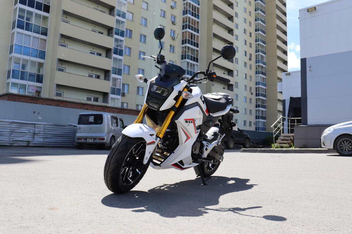 Мотоцикл PROMAX STRYKER 200(49) 2.0 в Перми