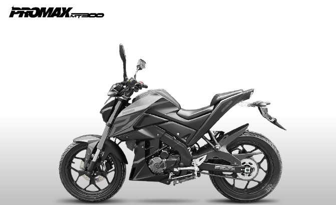 Мотоцикл PROMAX MT300 в Перми