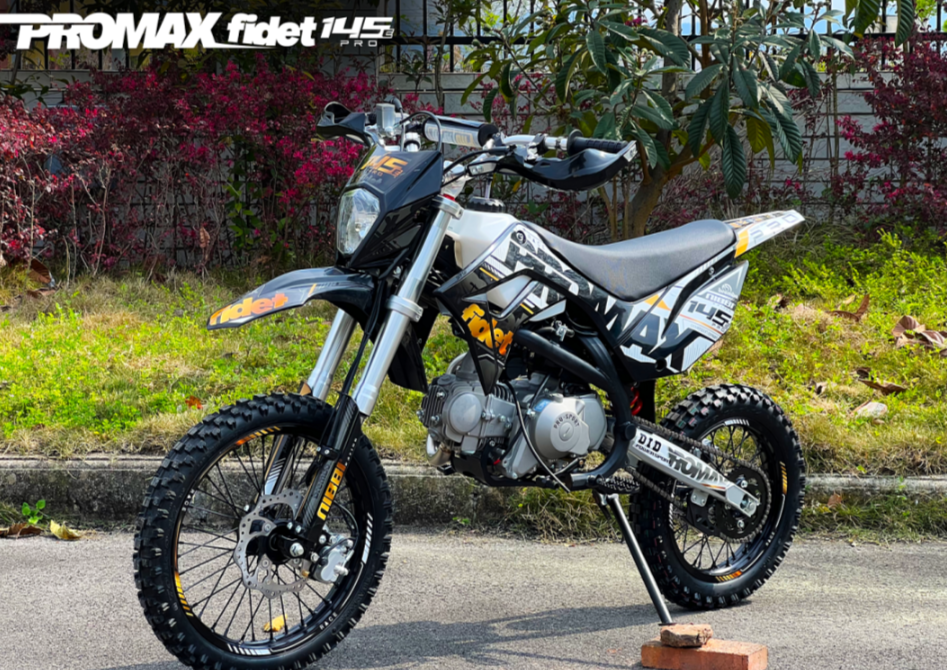 Мотоцикл (питбайк) PROMAX FIDET (ФАЙДЕТ) 145E PRO 17/14 в Перми