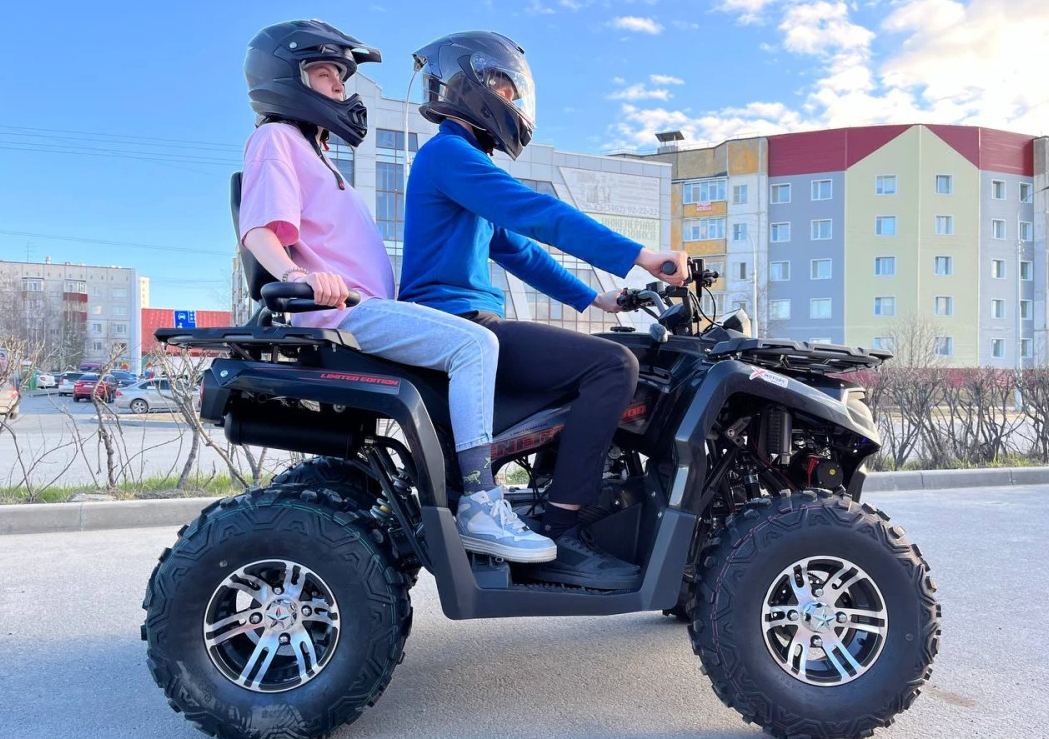 Квадроцикл PROMAX RENEGADE 300 LONG WINCH PRO (2025) в Перми