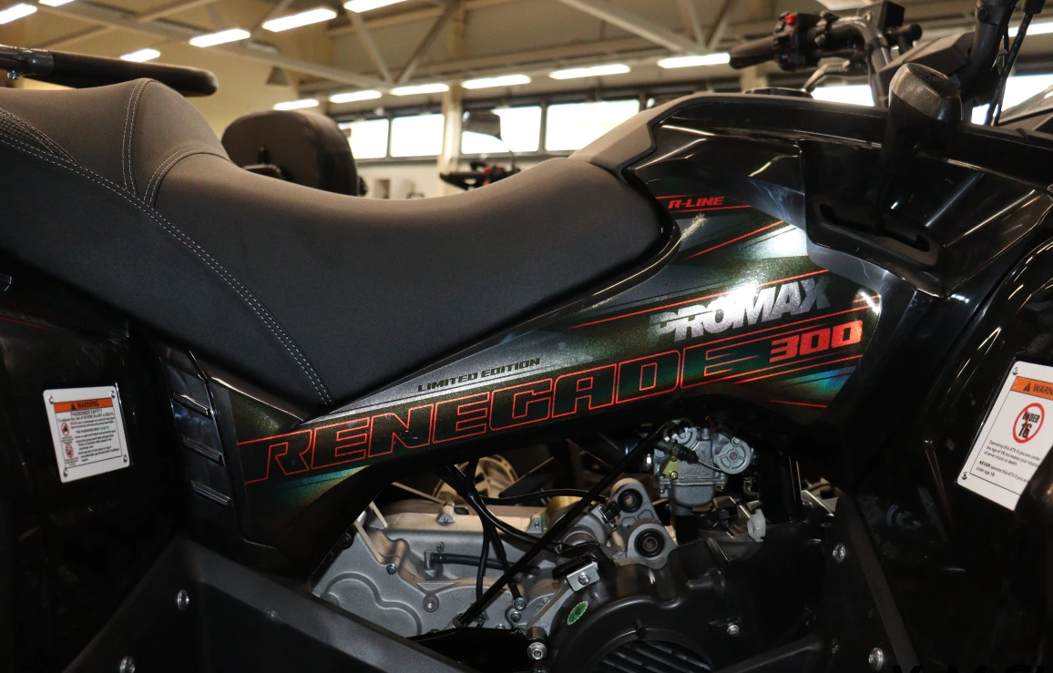 Квадроцикл PROMAX RENEGADE 300 LONG WINCH PRO (2025) в Перми