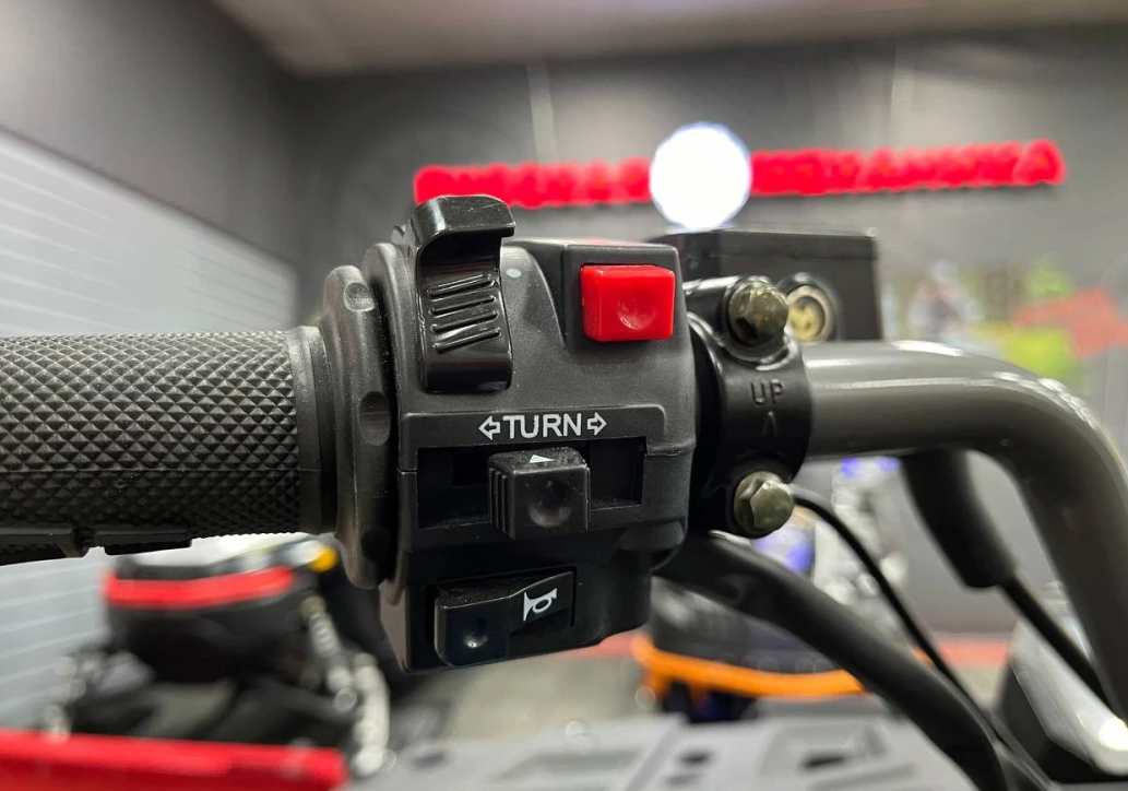 Квадроцикл PROMAX RENEGADE 300 LONG WINCH PRO (2025) в Перми