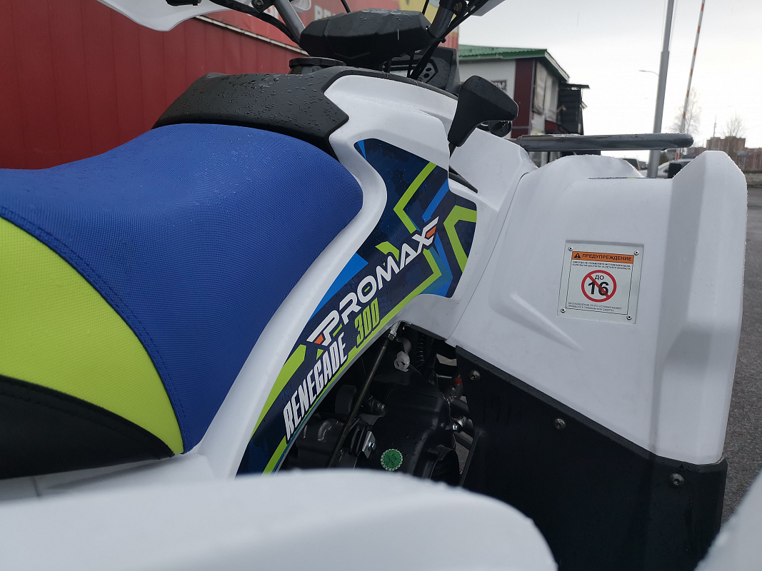 Квадроцикл PROMAX RENEGADE 280 LUX (2025) в Перми