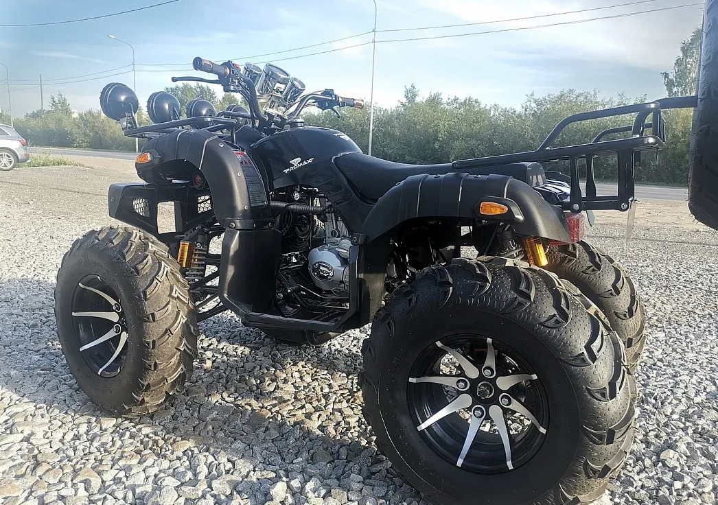 Квадроцикл PROMAX LEO 300 Max (кардан) в Перми