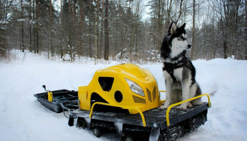 Мотобуксировщик LEBEDEV MOTORS ВОЛКОДАВ POWER V13 в Перми