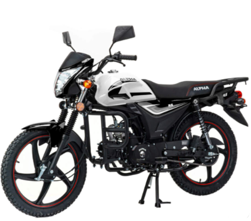 Мопед MOTOLAND (МОТОЛЕНД) Альфа RS 11 (LM48-B) в Перми