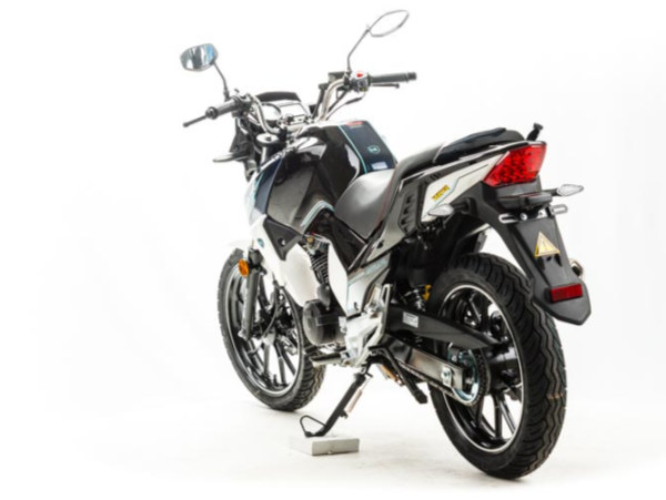 Мотоцикл MOTOLAND (МОТОЛЕНД) FIGHTER 250 в Перми