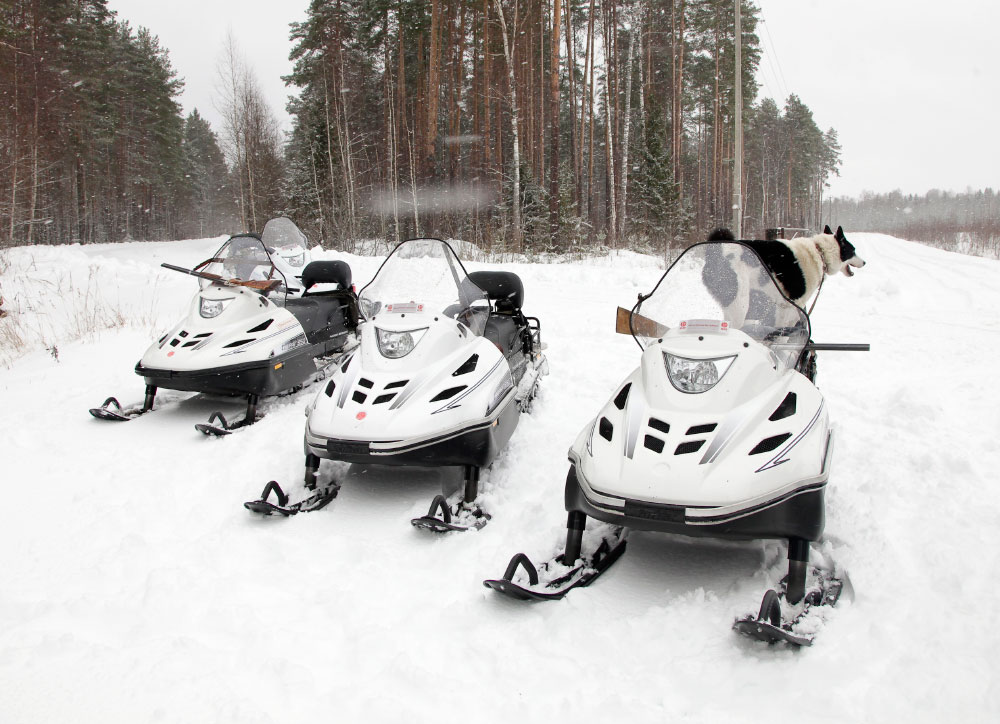 СНЕГОХОД РМ ТАЙГА ВАРЯГ 550 V в Перми