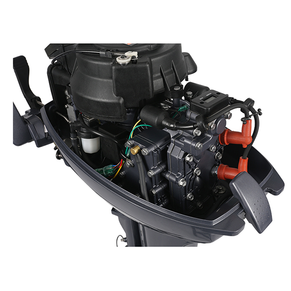 ЛОДОЧНЫЙ МОТОР ALLFA CG Т9,9 в Перми