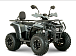 Квадроцикл YACOTA DRAGON LUX LD 150 PRO-SPORT в Перми