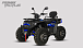 Квадроцикл PROMAX TAURUS 300 MAX-PRO LONG в Перми