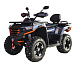 Квадроцикл MOTOLAND (МОТОЛЕНД) 300 MAX X в Перми