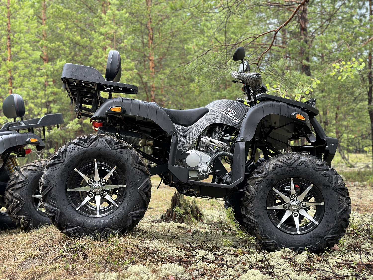 Квадроцикл PROMAX 320 DOMINATOR (2025) в Перми