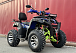  Квадроцикл PROMAX ATV 250 MAX (2025) в Перми