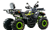 Квадроцикл MOTOLAND (МОТОЛЕНД) VOX200 WILD TRACK X WINCH (баланс. вал) в Перми