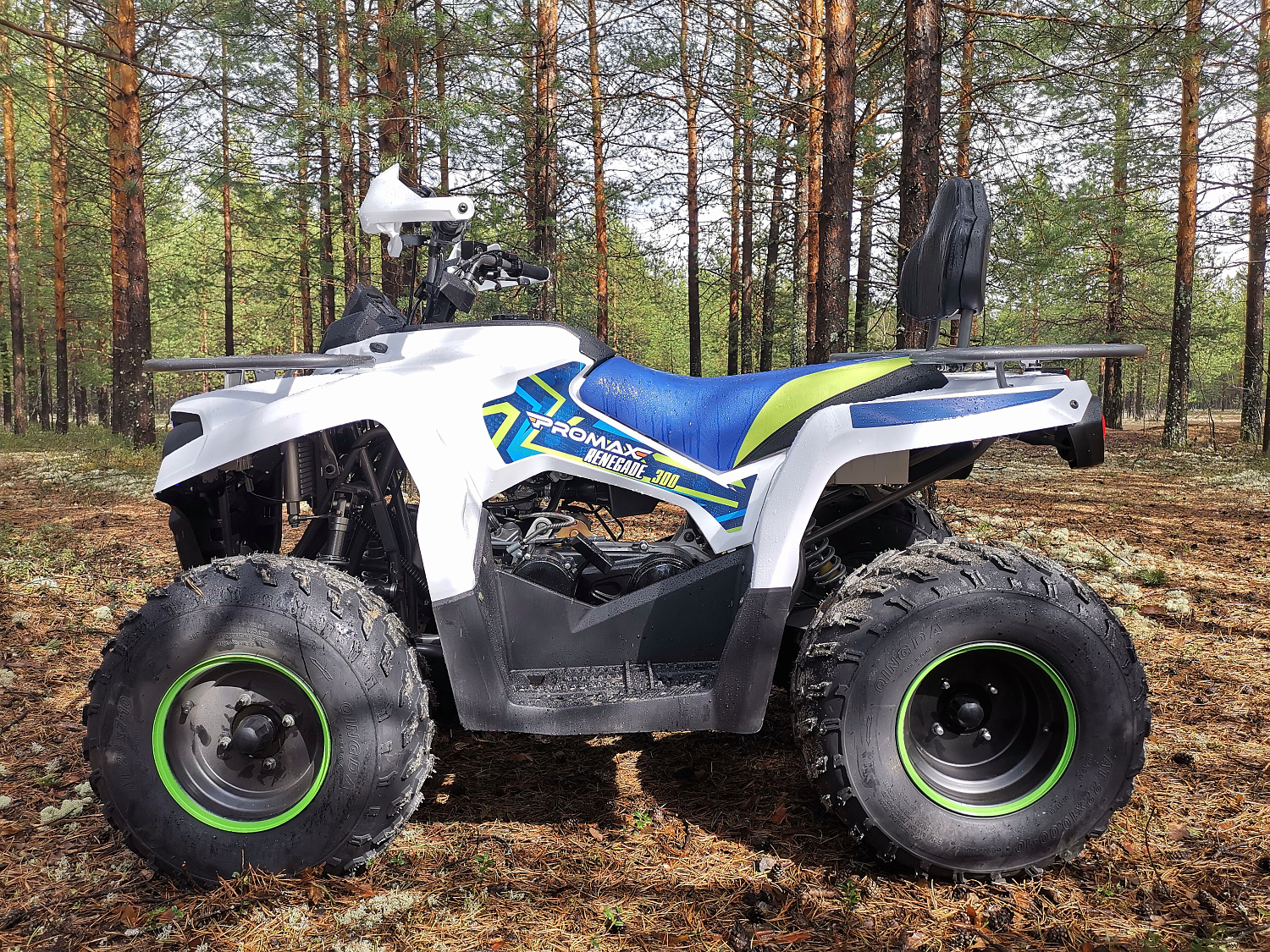Квадроцикл PROMAX RENEGADE 280 (2025) в Перми