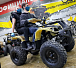 Квадроцикл PROMAX ATV 250 (2025) в Перми