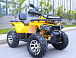 Квадроцикл MOTOLAND (МОТОЛЕНД) VOX200 WILD TRACK X PRO (баланс. вал) в Перми