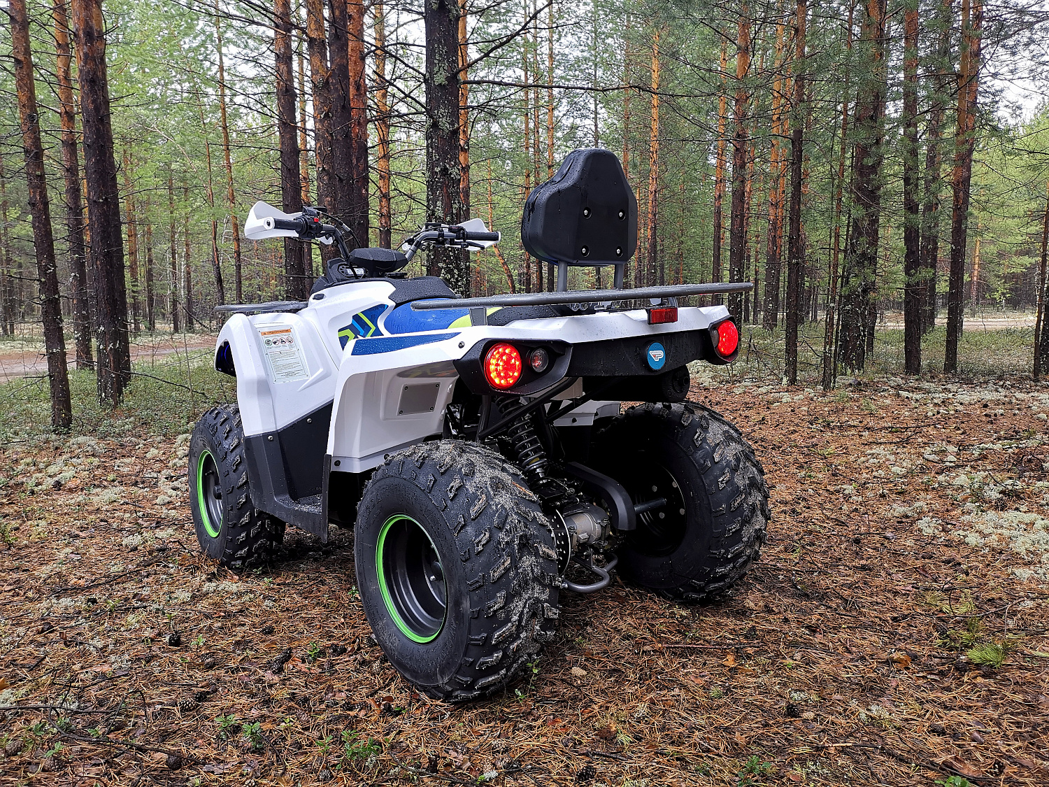 Квадроцикл PROMAX RENEGADE 280 (2025) в Перми