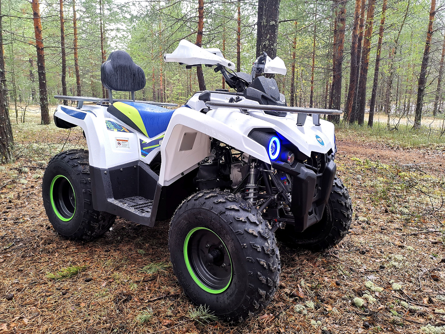Квадроцикл PROMAX RENEGADE 280 (2025) в Перми