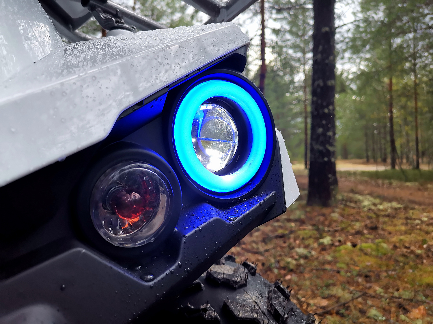 Квадроцикл PROMAX RENEGADE 280 (2025) в Перми