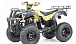 Квадроцикл MOTOLAND (МОТОЛЕНД) 250 ADVENTURE в Перми