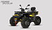Квадроцикл PROMAX TAURUS 300 MAX-PRO LONG в Перми